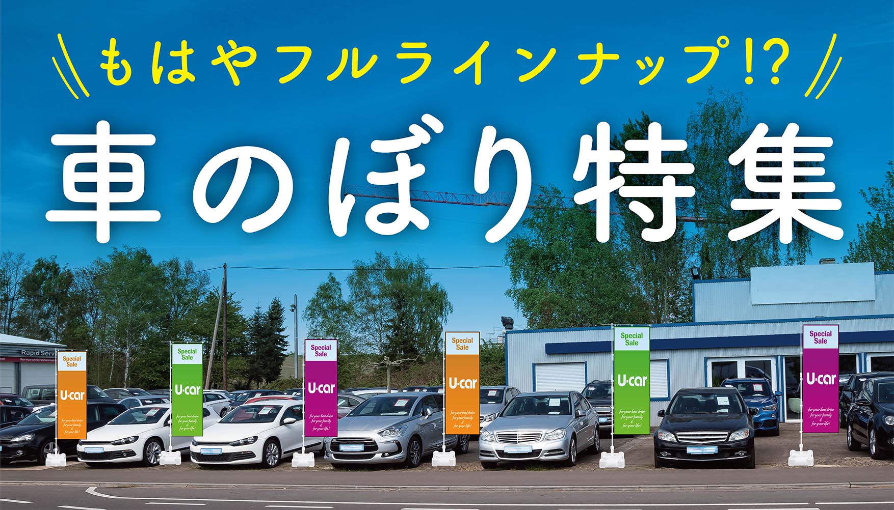 もはやフルラインナップ！？「車のぼり」 