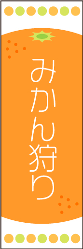 みかん狩り 01 みかんのイラストを中心に配置し、かわいらしくデザインした「みかん狩り」用のぼりです。(N.O)