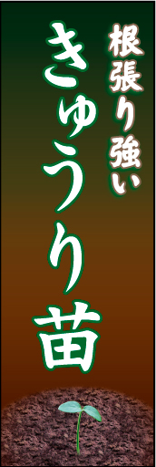 きゅうり苗 01「きゅうり苗」ののぼりです。大地に根付くきゅうりの苗を表現しました。(K.K) 