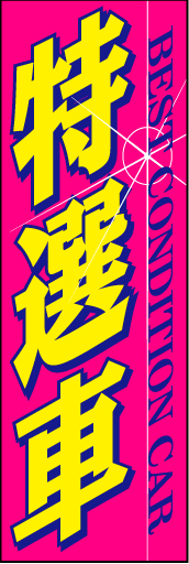 特選車 02 「特選車」ののぼりです。高品質なイメージがお伝えできればと思います。(D.N)