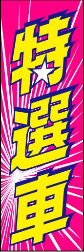 特選車 04「特選車」ののぼりです。とにかくロードサイドで目にとまって頂ければと思います。(D.N) 