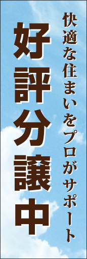 好評分譲中 01 「好評分譲中」ののぼりです。晴天の空=快適な住まい（空間）をイメージしてみました。(D.N)