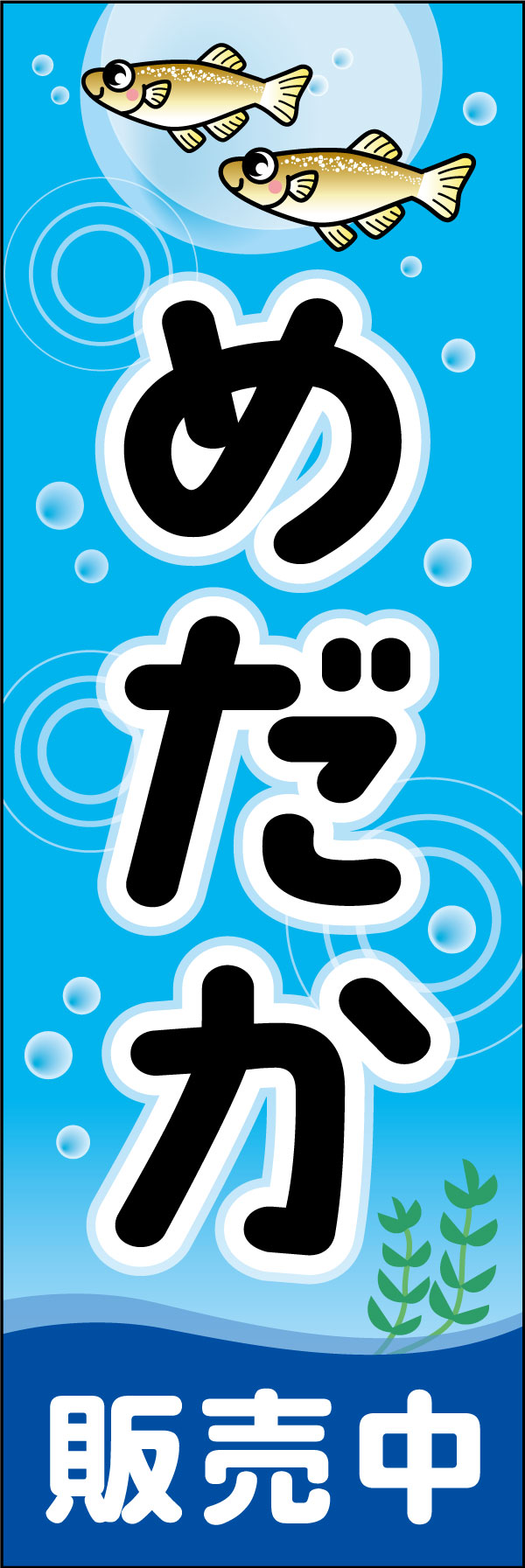 めだか（販売中） 3「メダカ」ののぼりです。初心者でも飼ってみたいという気持ちに明るいイラストとスタッフのサポートがアピールしています。(M.H) 