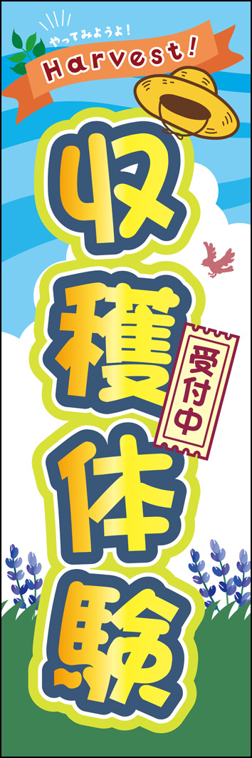 収穫体験 346_01 「収穫体験」のぼりです。初めての収穫体験は、わくわくする冒険へのワンシーン!明るく元気なイメージを表現しました。(MH)